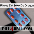 Dragon Sex Pills 06